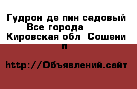 Гудрон де пин садовый - Все города  »    . Кировская обл.,Сошени п.